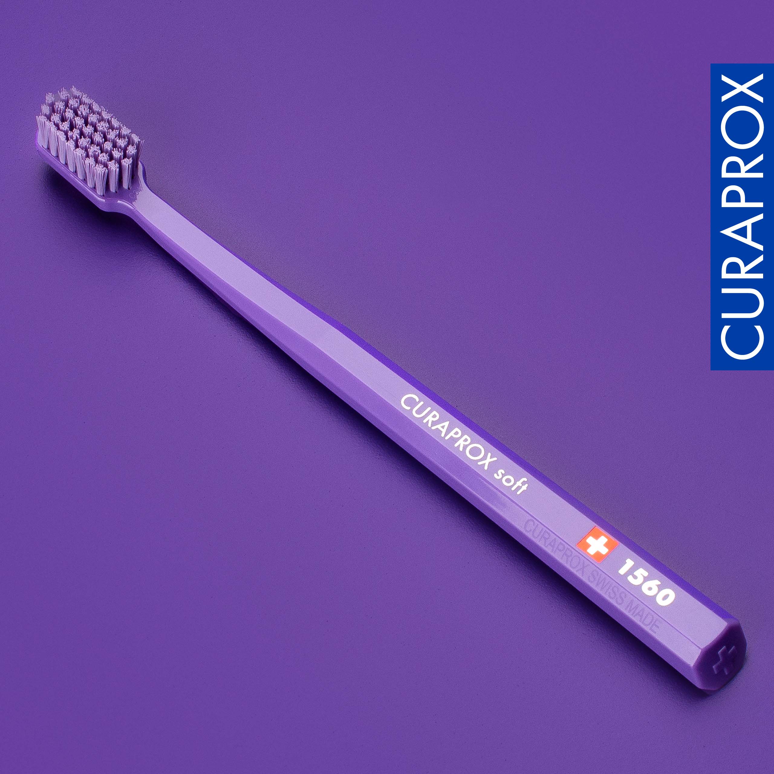 CS 1560